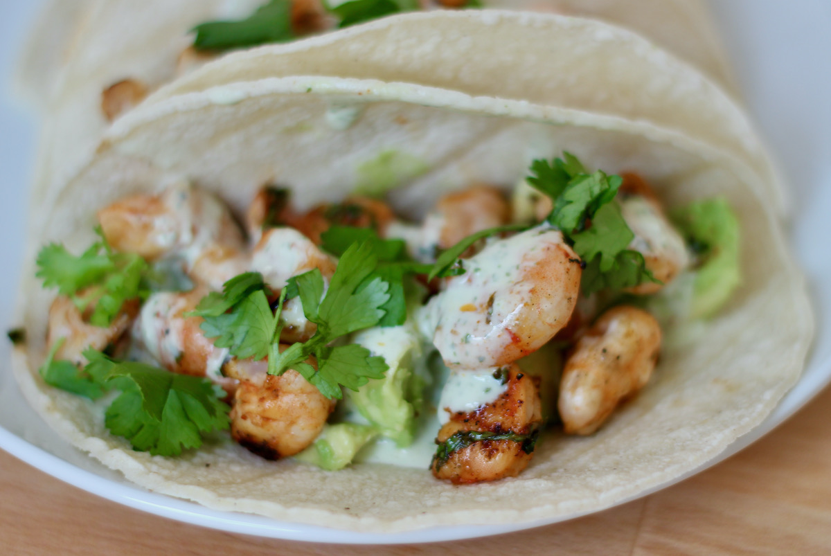The filling of a tequila lime shrimp taco, which includes marinated and grilled shrimp, cilantro garlic sauce, diced avocado, and fresh cilantro.