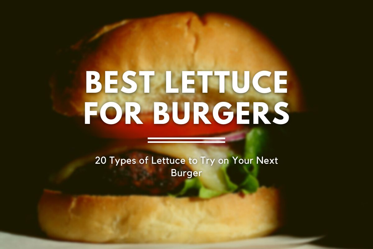 A turkey burger with text overlay that reads "best lettuce for burgers: 20 types of lettuce to try on your next burger."