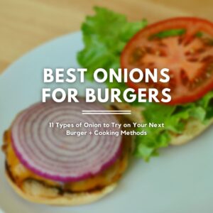 An open-faced burger with red onion on it. Text overlaid on the image reads "best onions for burgers: 11 types of onion to try on your next burgers + cooking methods."