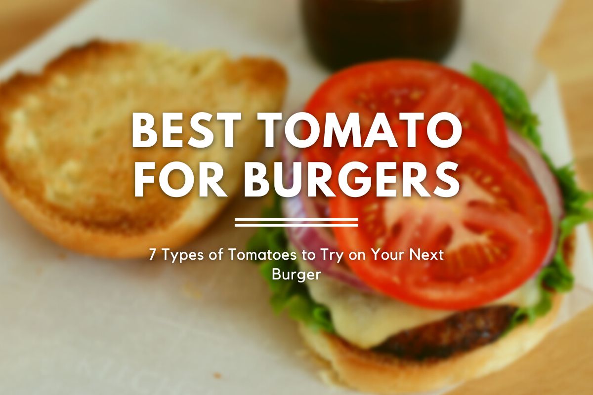 A burger topped with sliced tomato. Text overlaid on the image reads "best tomato for burgers: 7 types of tomatoes to try on your next burger."