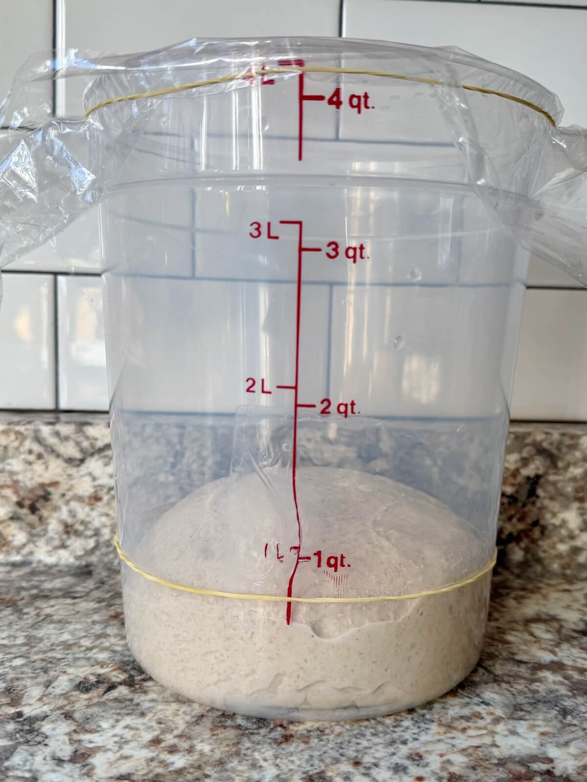 Sourdough bread dough in a straight-sided container before bulk fermentation.