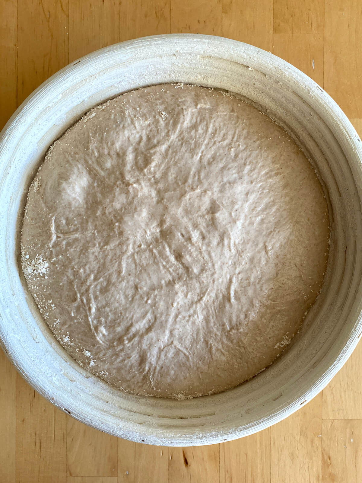 The dough after proofing and cold retarding in the refrigerator overnight.