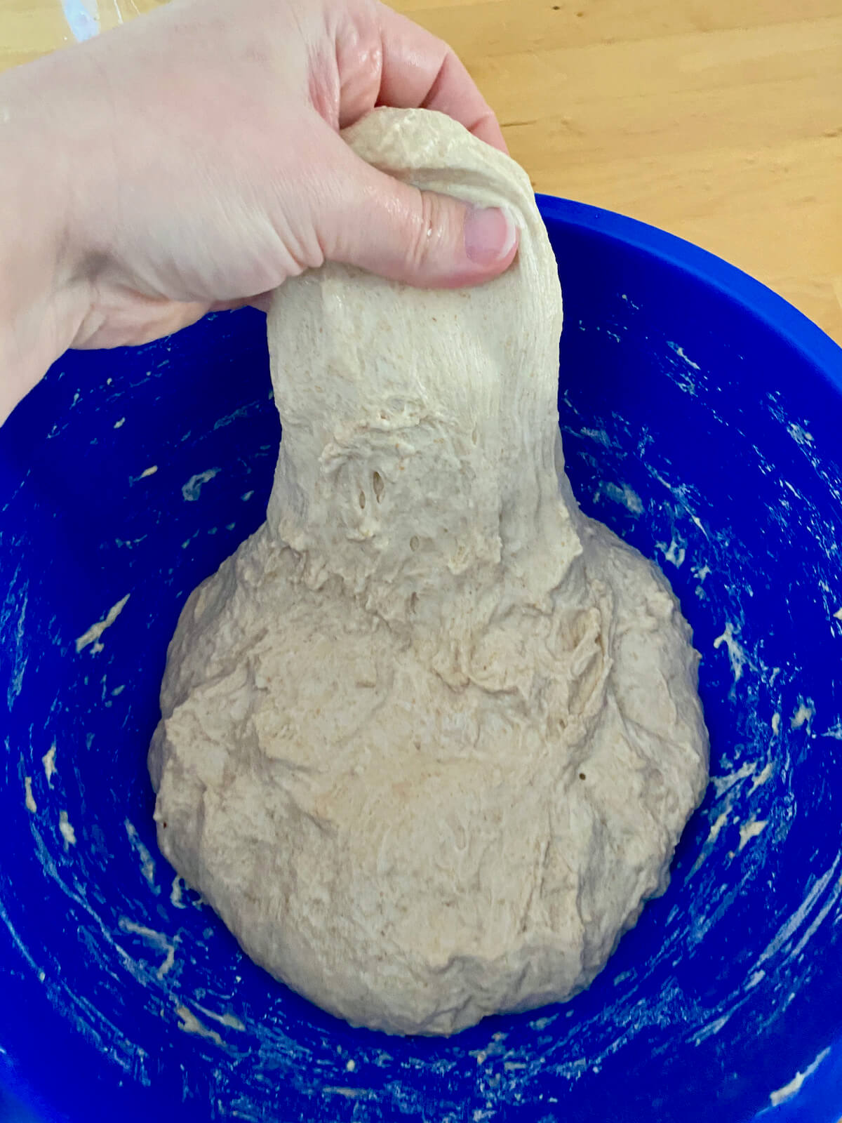 A hand lifts a corner of the dough up out of the bowl to perform a stretch and fold.