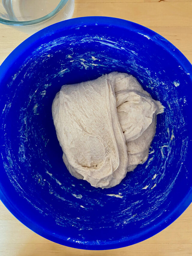 NoKnead Dutch Oven Sourdough Bread (A Beginner's Guide) Everyday