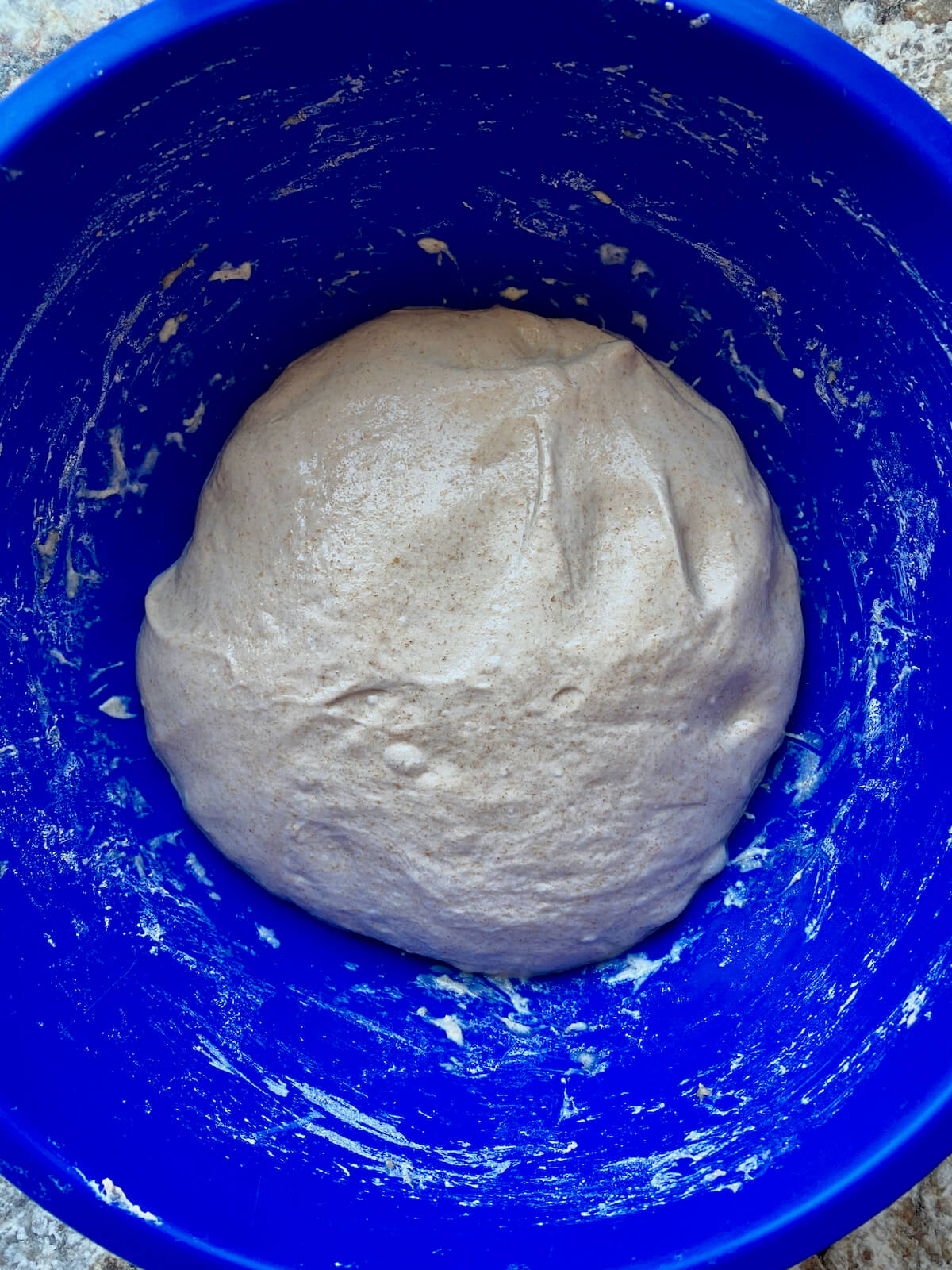 The dough before bulk fermentation.