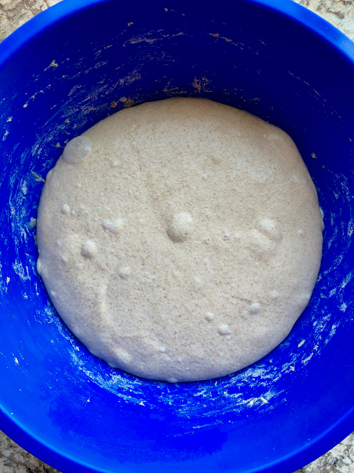 The dough after bulk fermentation.
