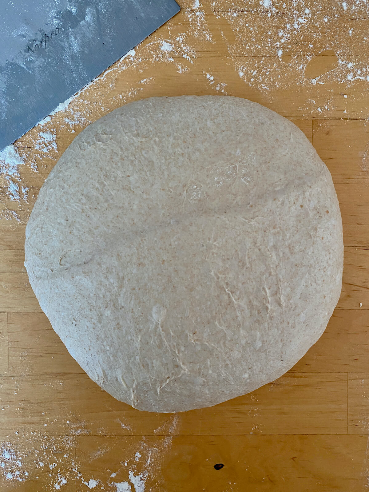 The dough after pre-shaping.