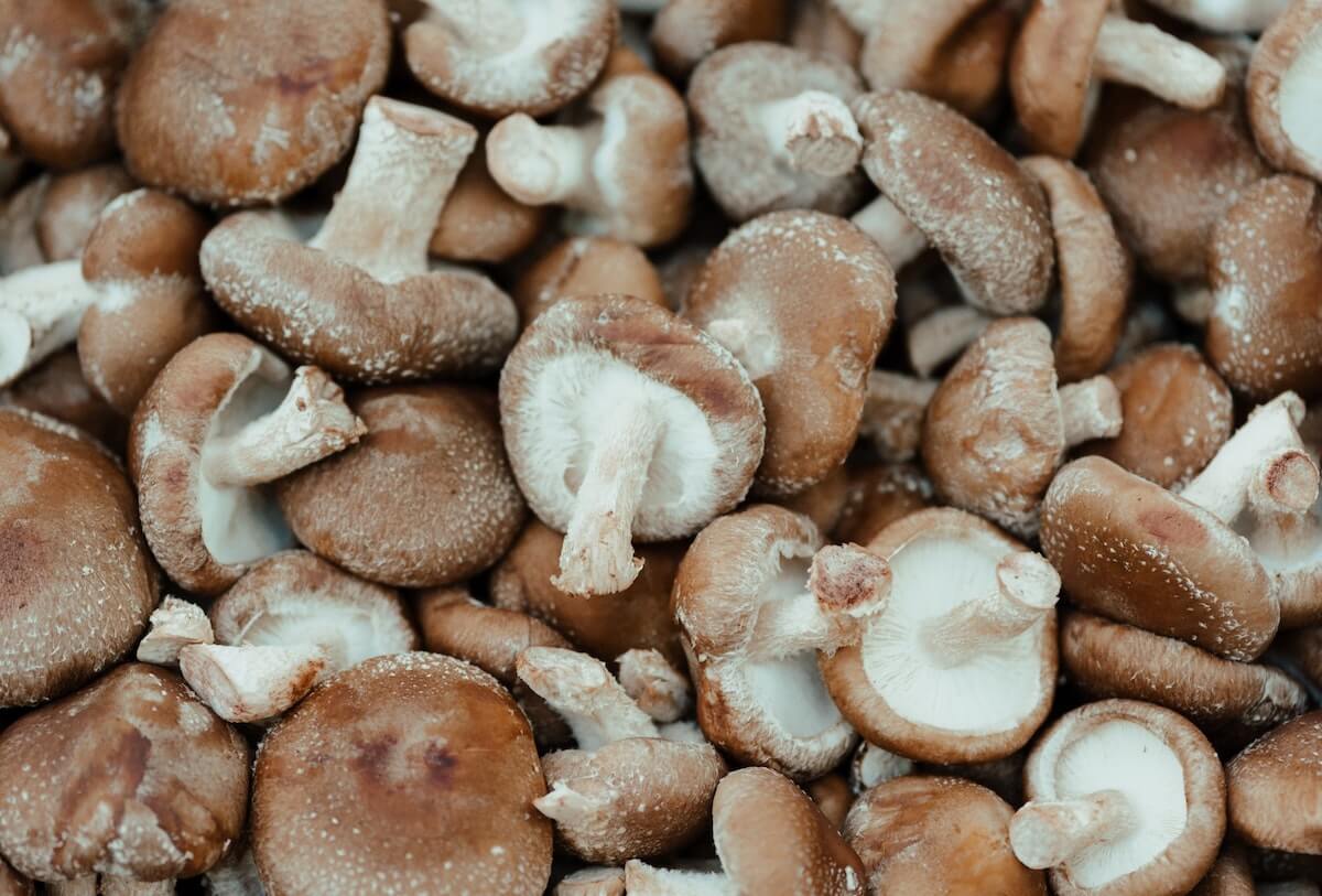 A bunch of shiitake mushrooms.