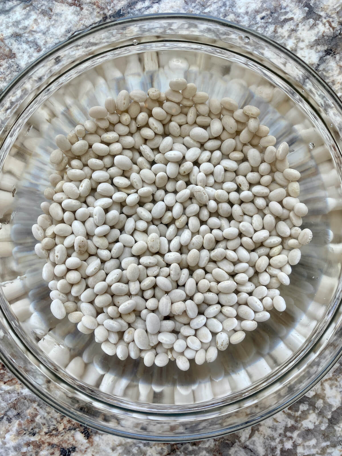 A bowl of dried navy beans soaking in water.