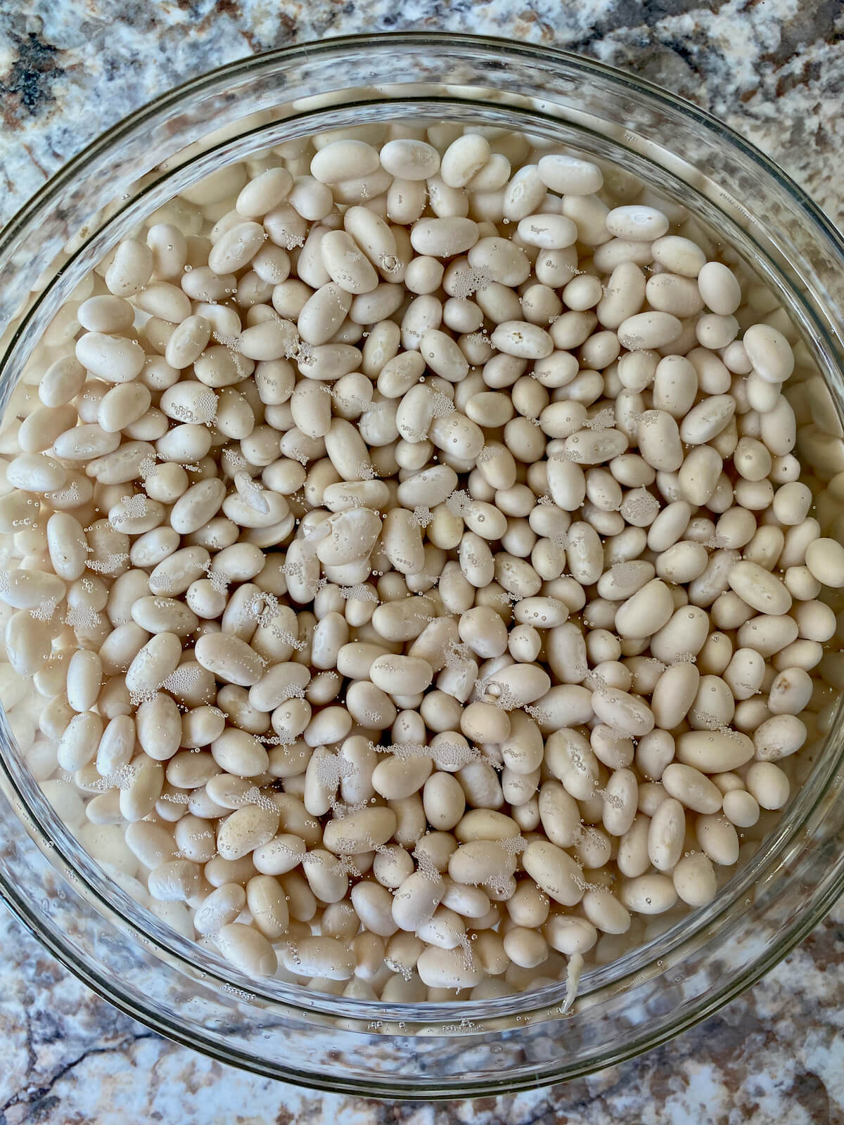 Dried navy beans in a bowl of water after soaking overnight.