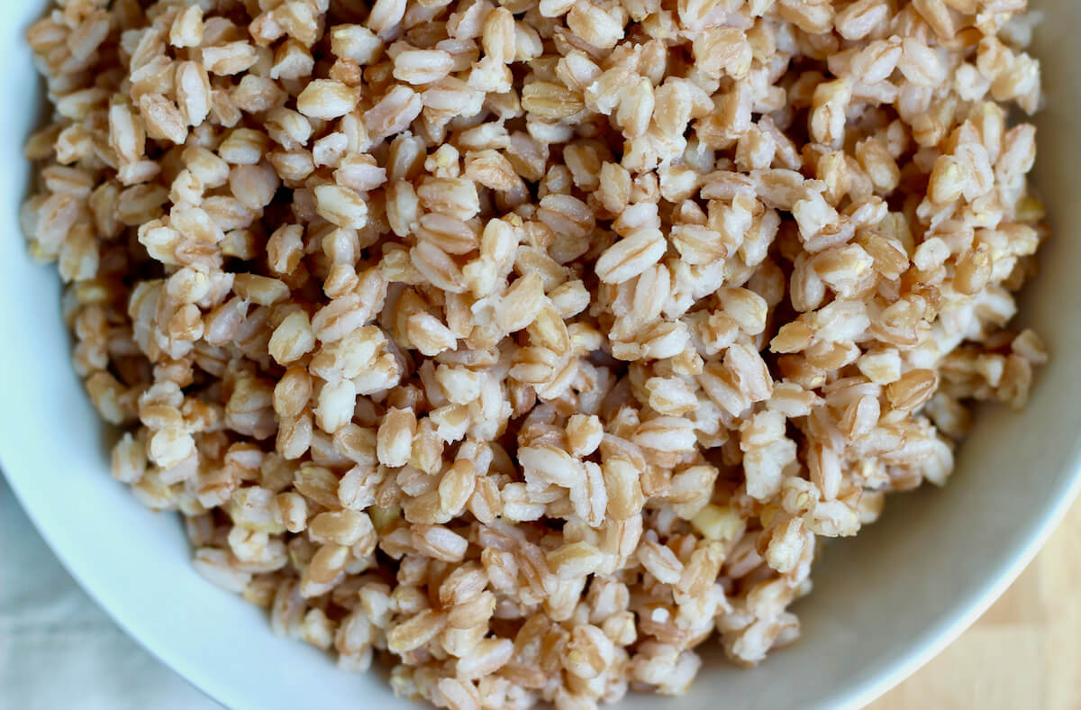 Cooked farro in a white bowl.