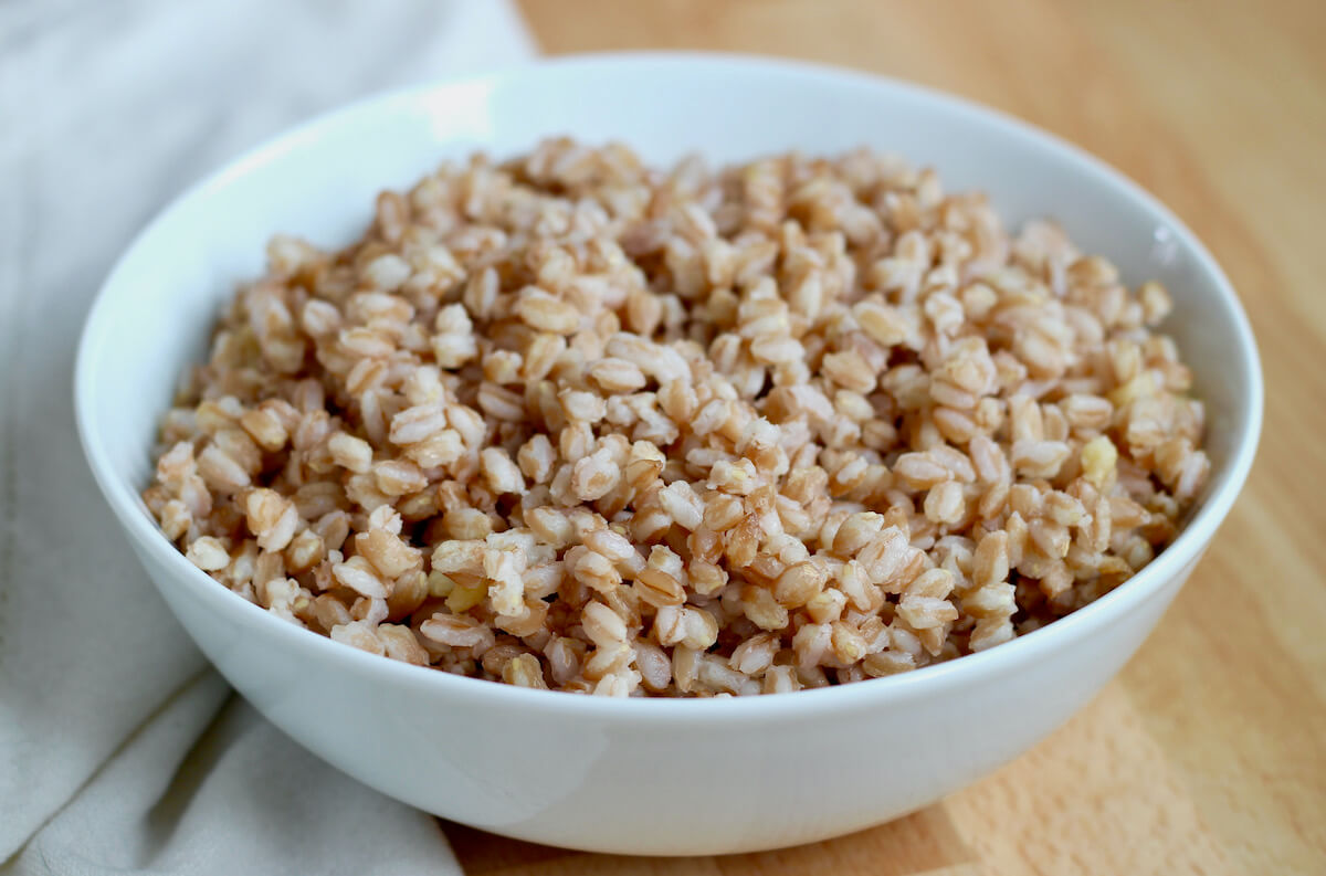 A white bowl of plain farro made in a rice cooker.