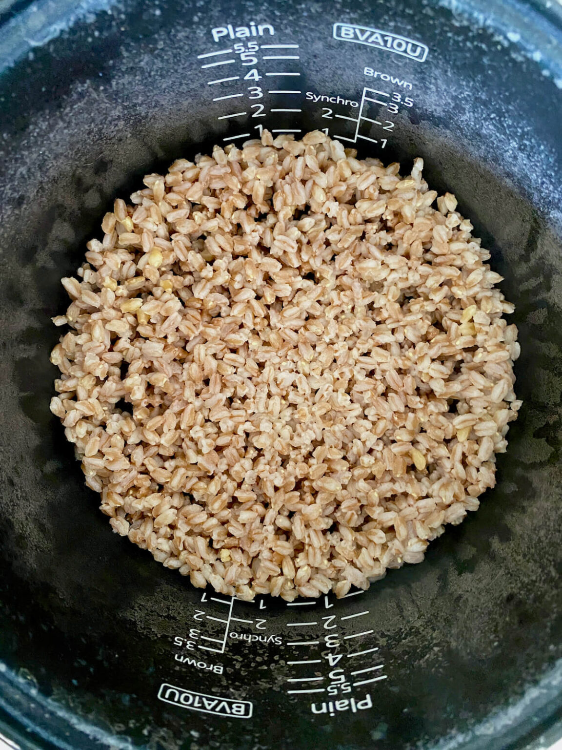 How to Cook Farro in a Rice Cooker Everyday Homemade