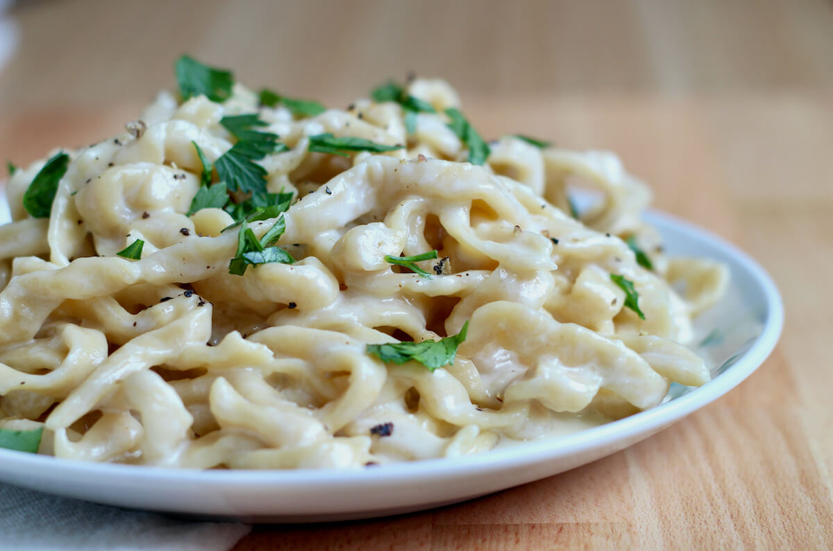 Sourdough pasta tossed with alfredo sauce on a small white plate.