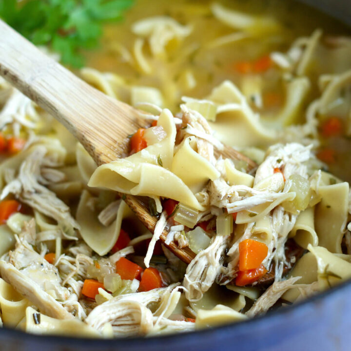 Dutch Oven Chicken Pot Pie (Single Crust) Everyday Homemade