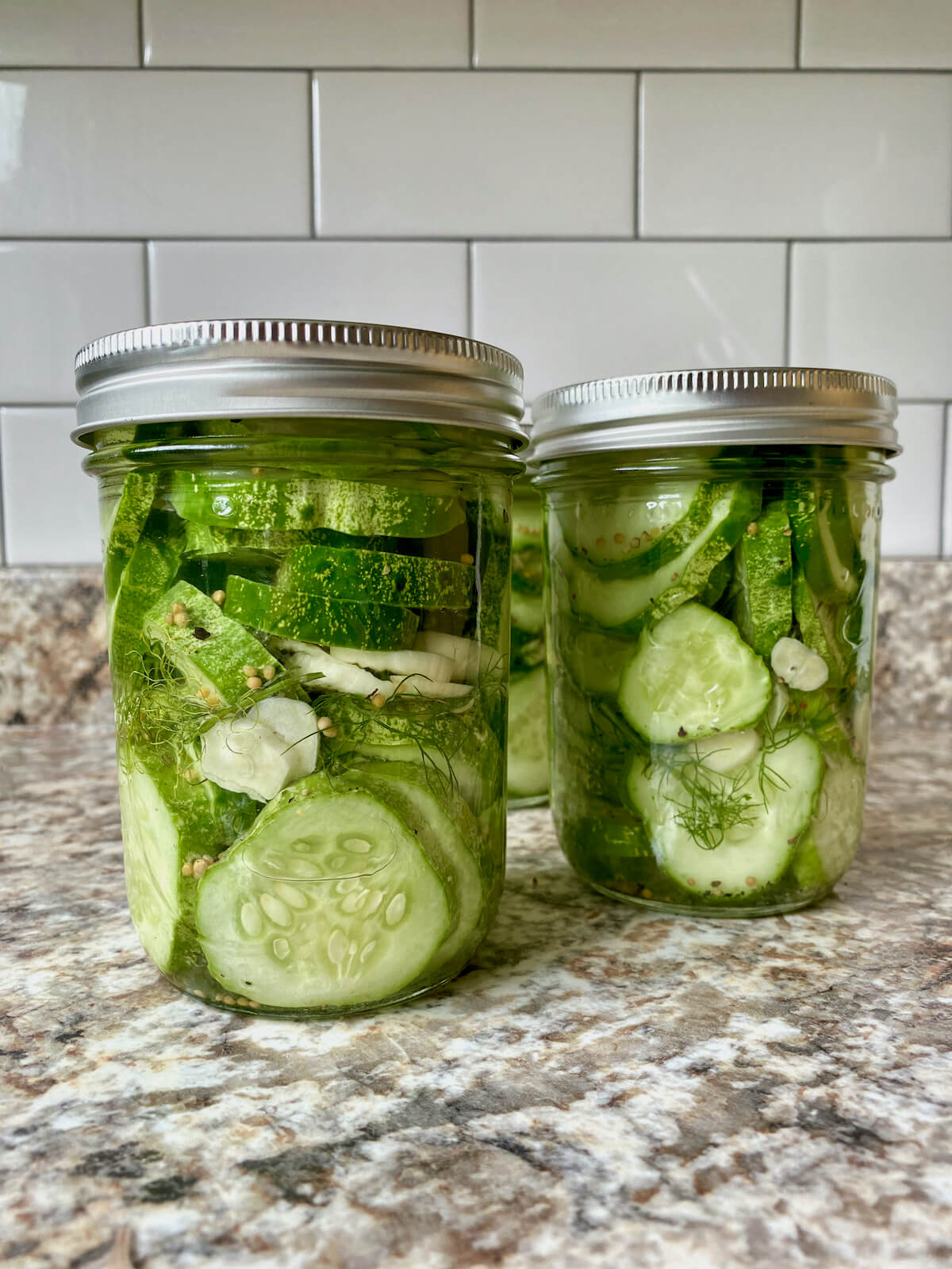Closed mason jars filled with refrigerator dill pickles.
