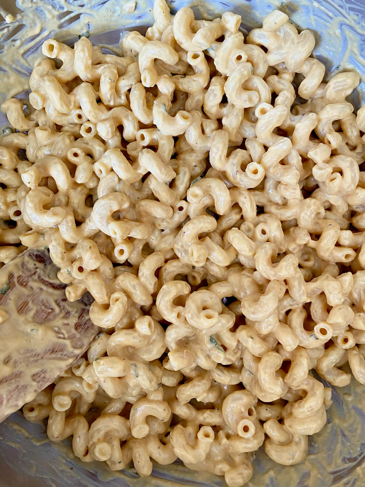 Cavatappi pasta mixed with cream pumpkin sage pasta sauce in a stainless steel skillet.