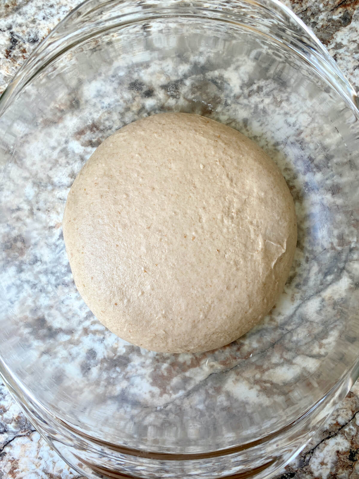 The breadstick dough after bulk fermentation in a mixing bowl.