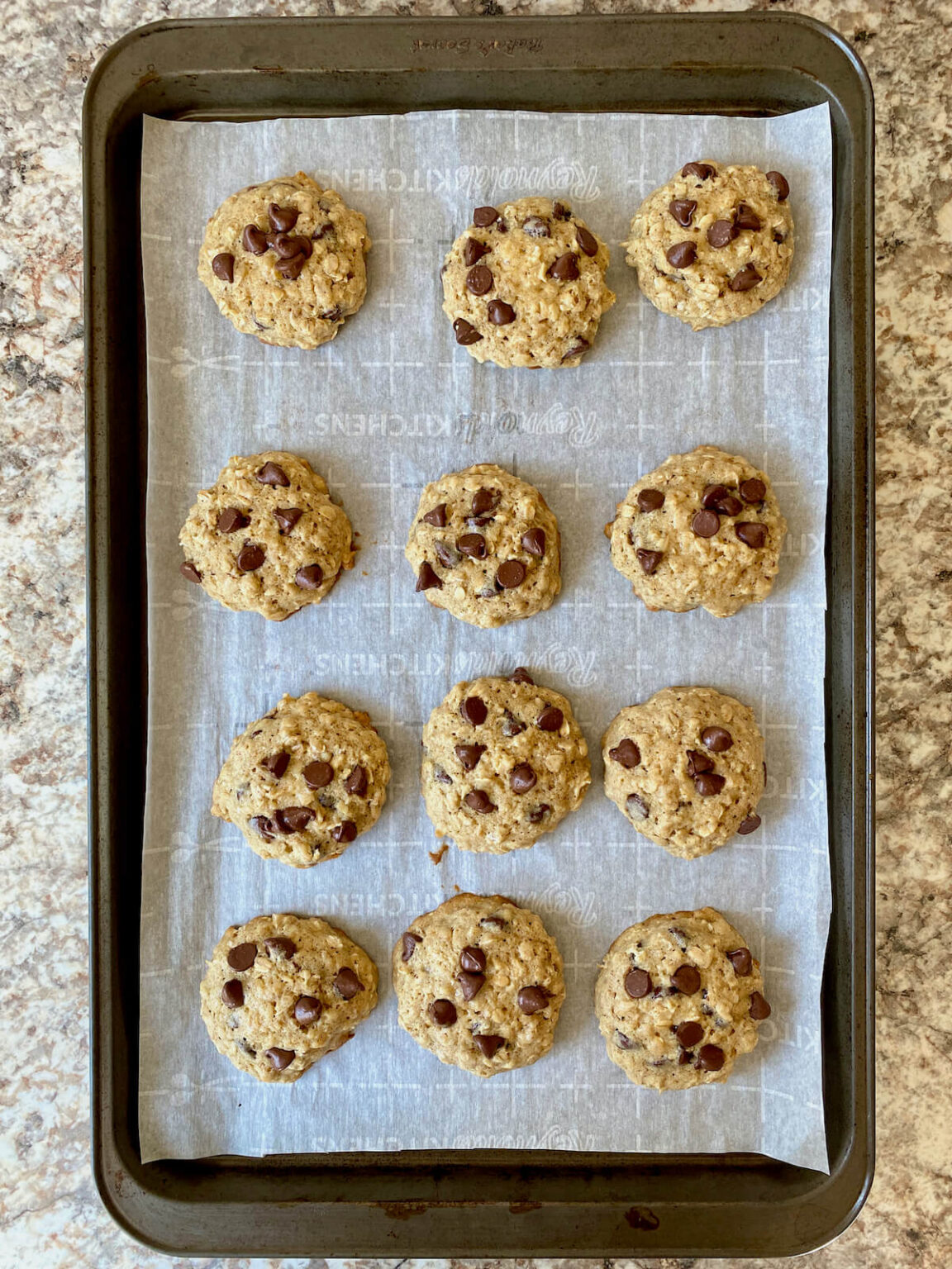 Sourdough Oatmeal Cookies (With Chocolate Chips or Raisins) Everyday