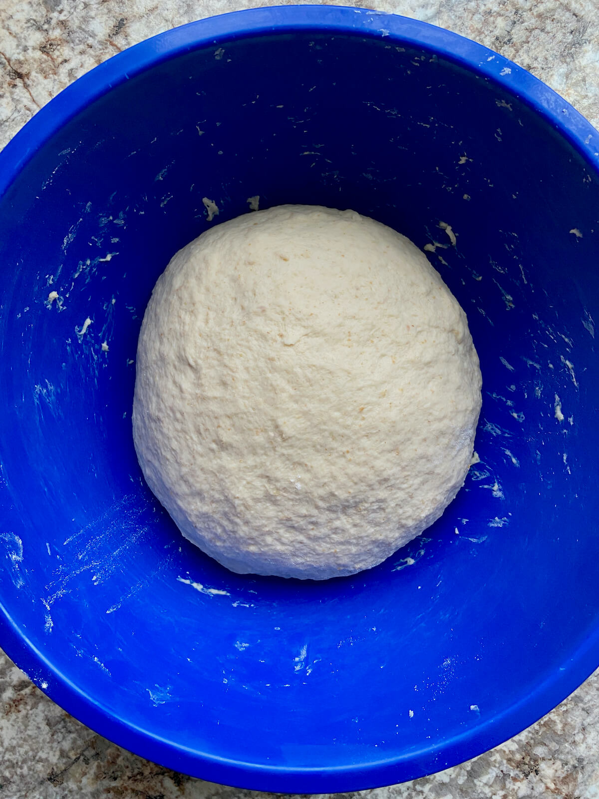 Sourdough garlic knot dough in a blue mixing bowl after being kneaded.