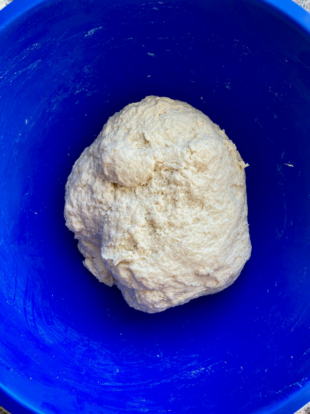 Sourdough soft pretzel dough in a blue mixing bowl.