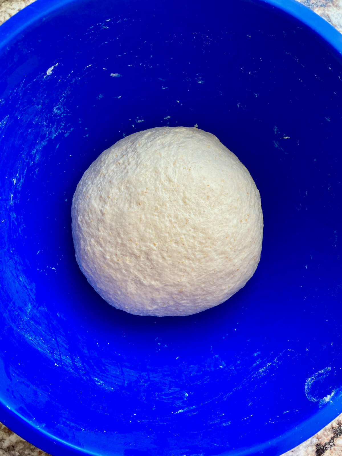 Soft sourdough pretzel dough in a blue mixing bowl after being kneaded.