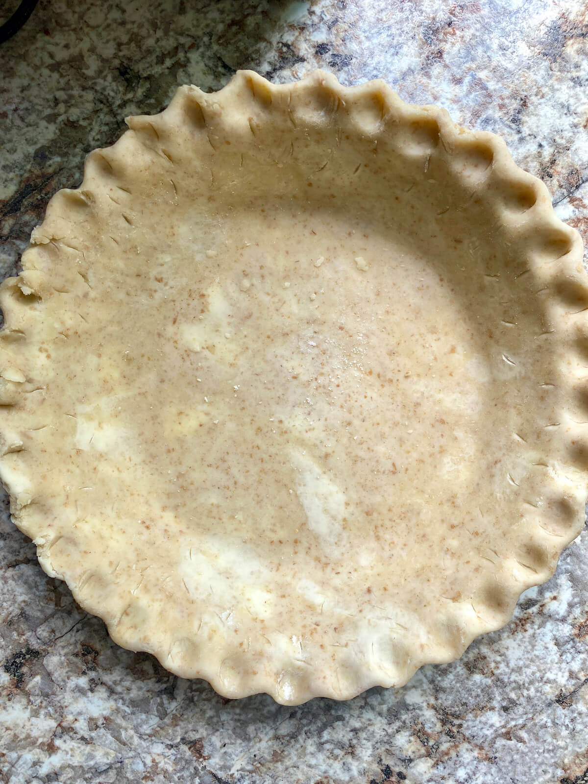 Sourdough pie dough pressed into a 9-inch pie plate.