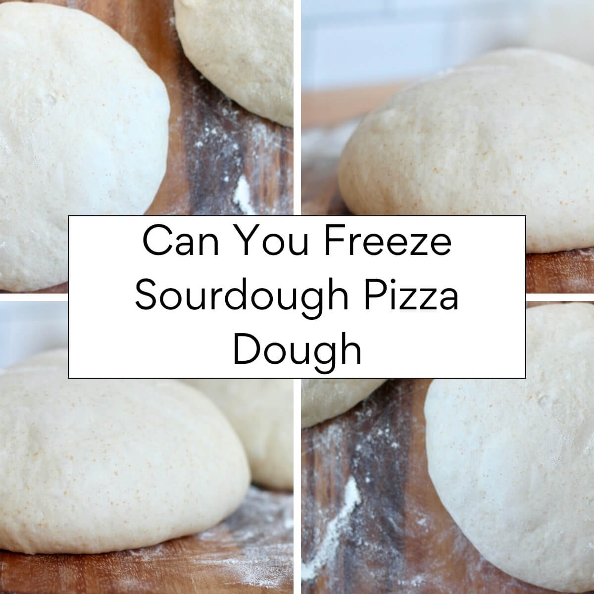 Four images of sourdough pizza dough balls with the text "Can You Freeze Sourdough Pizza Dough" in a textbox in the middle.