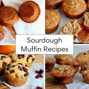 Four images of various sourdough muffins in a grid with a white text box in the center with text that reads "Sourdough Muffin Recipes."