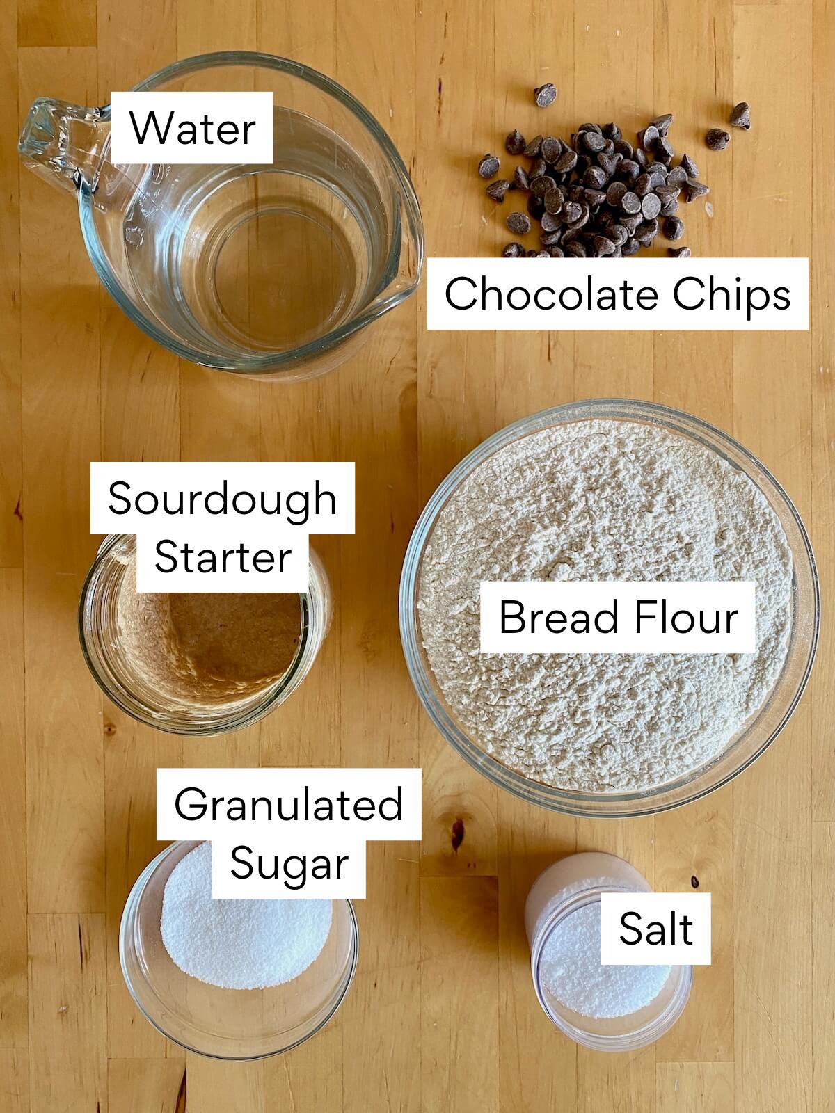 The ingredients to make sourdough bread with chocolate chips. Each ingredient is labeled with text. They include water, chocolate chips, sourdough starter, bread flour, granulated sugar, and salt.