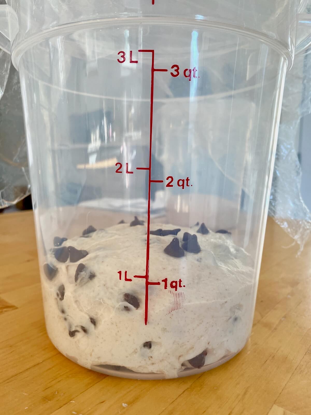 The dough in a straight-sided container before bulk fermenting.