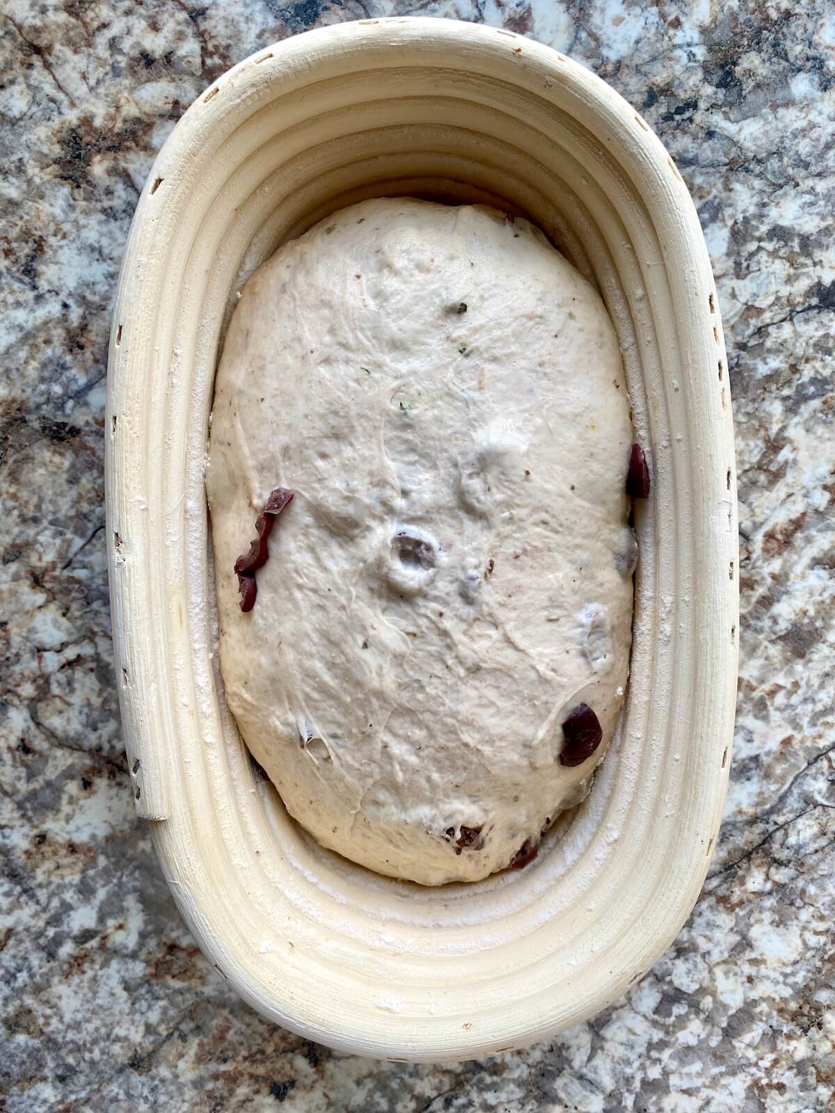 Sourdough olive bread dough proofing in a batard-shaped basket.