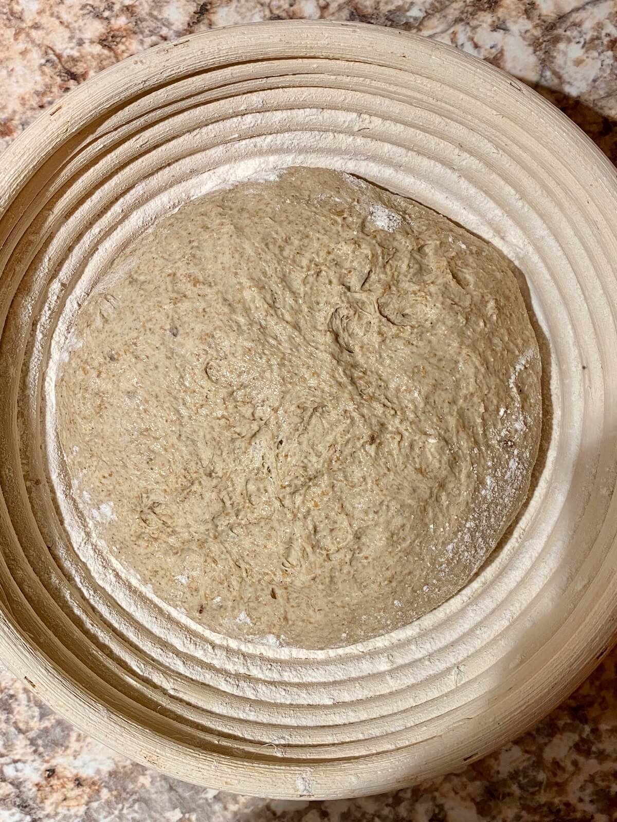 The shaped dough in a banneton basket before proofing.