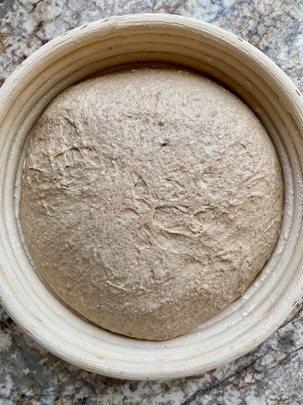 The shaped dough in a banneton basket after proofing.