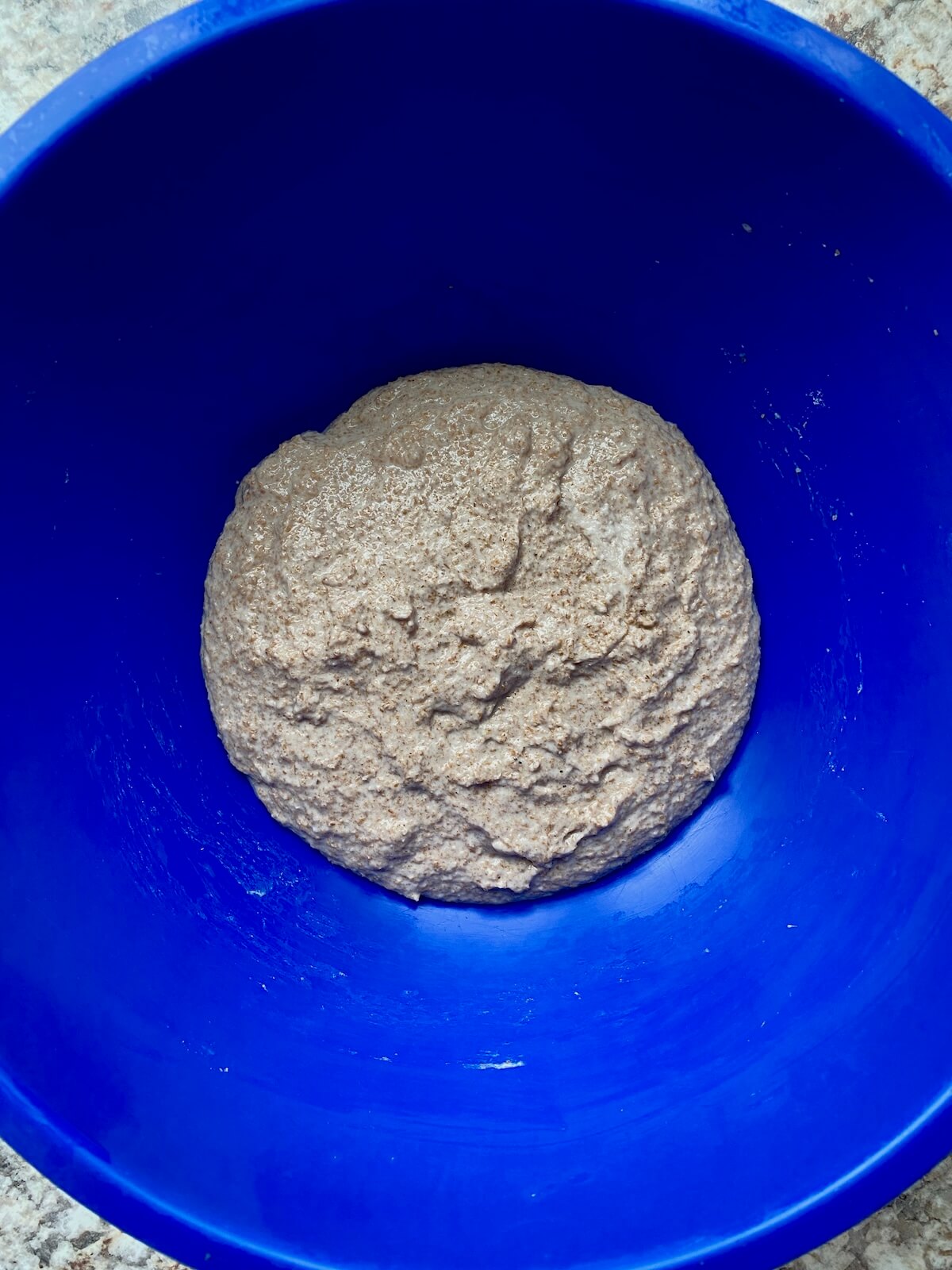 Whole wheat flour and water autolysing in a bowl.