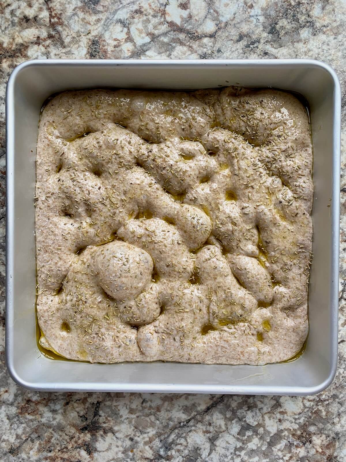 The proofed dough after being indented and coated with oil, salt, and herbs.