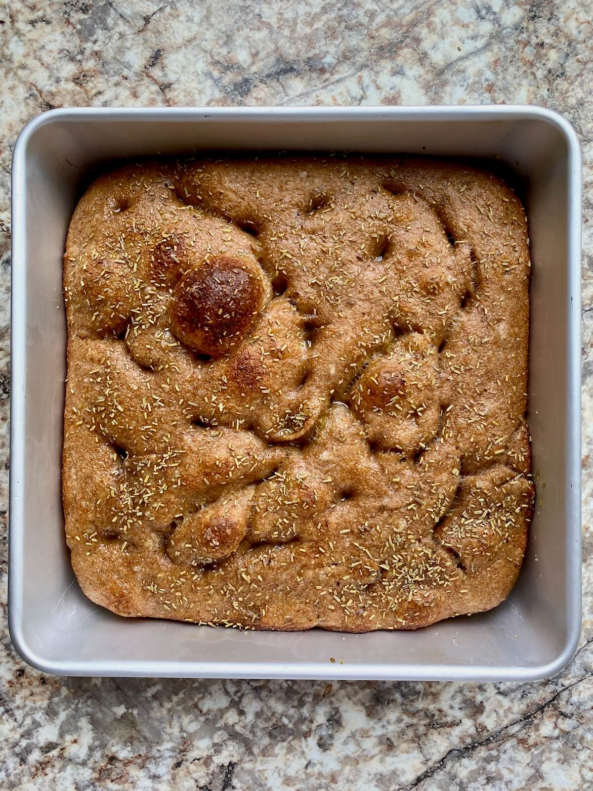 The baked whole wheat sourdough focaccia in an aluminum baking pan.