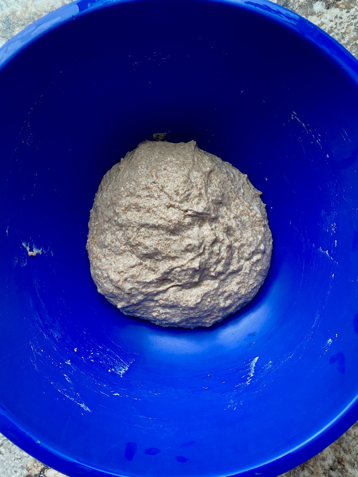Whole wheat sourdough focaccia dough in a mixing bowl.