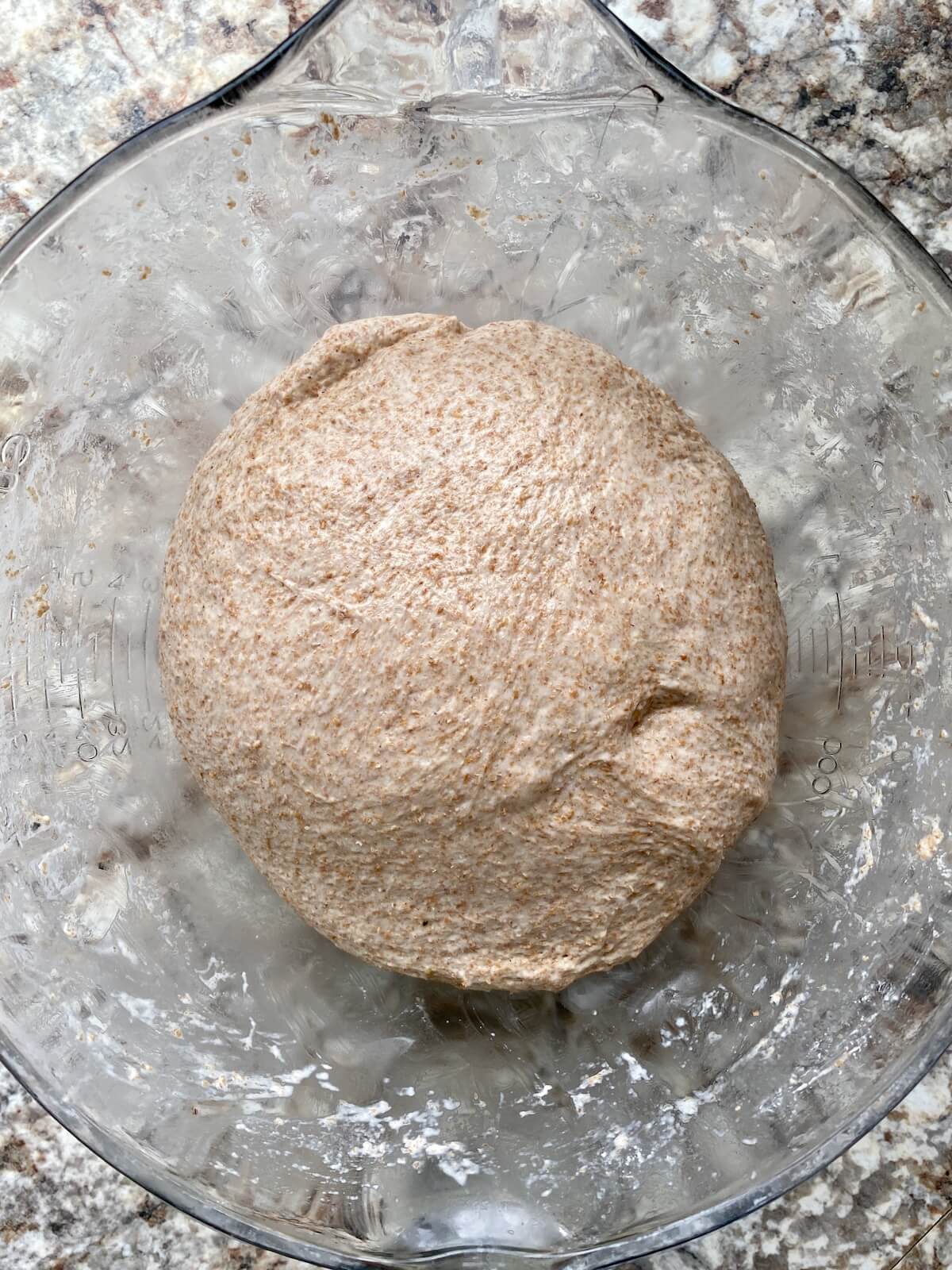 The dough in a glass bowl before bulk fermentation.