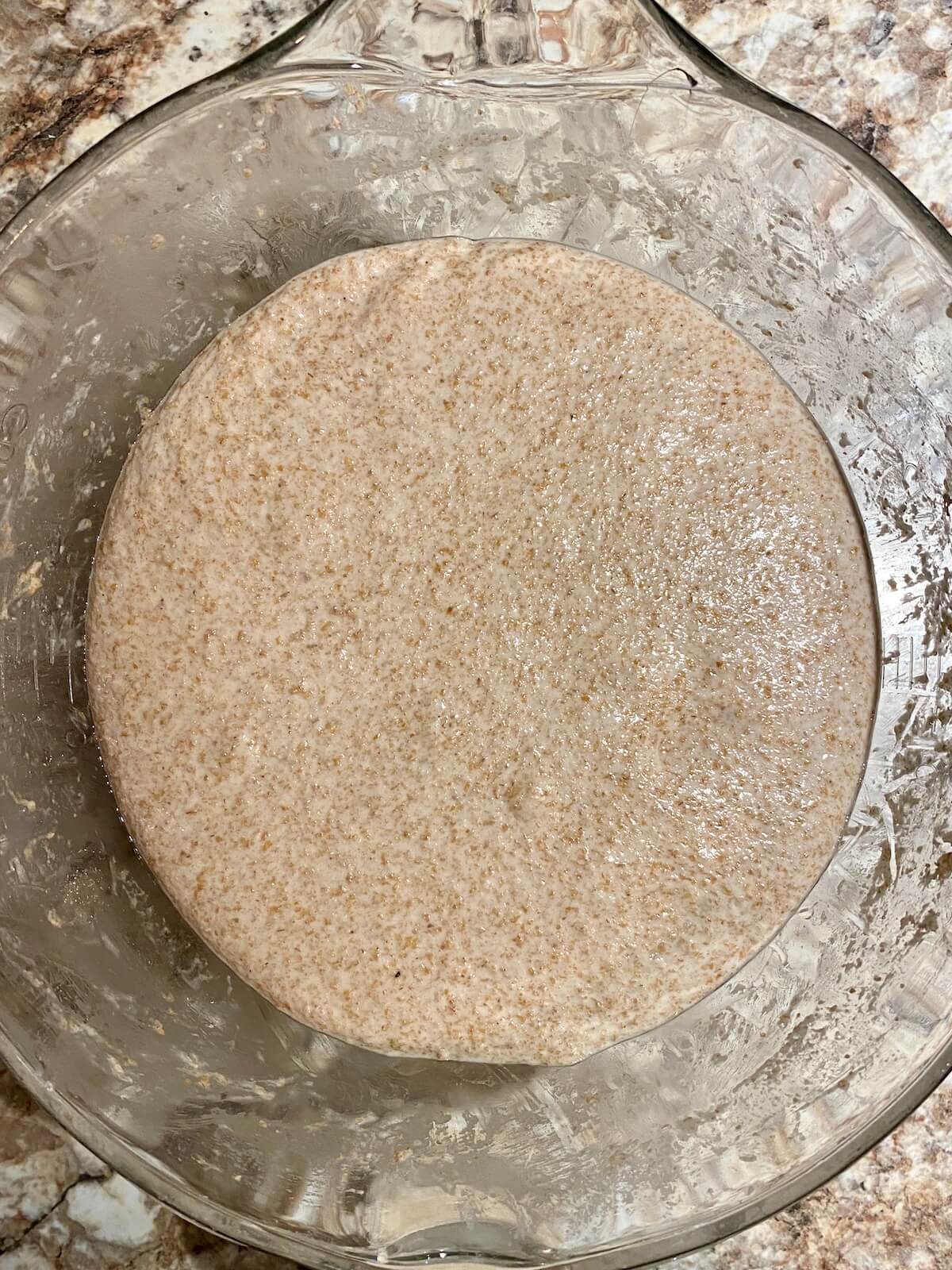 The dough in a glass bowl after bulk fermentation.