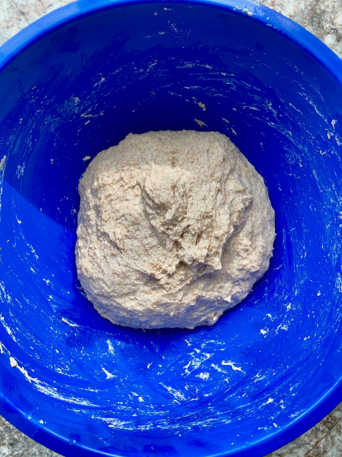 The flour and water autolysing in a blue bowl.