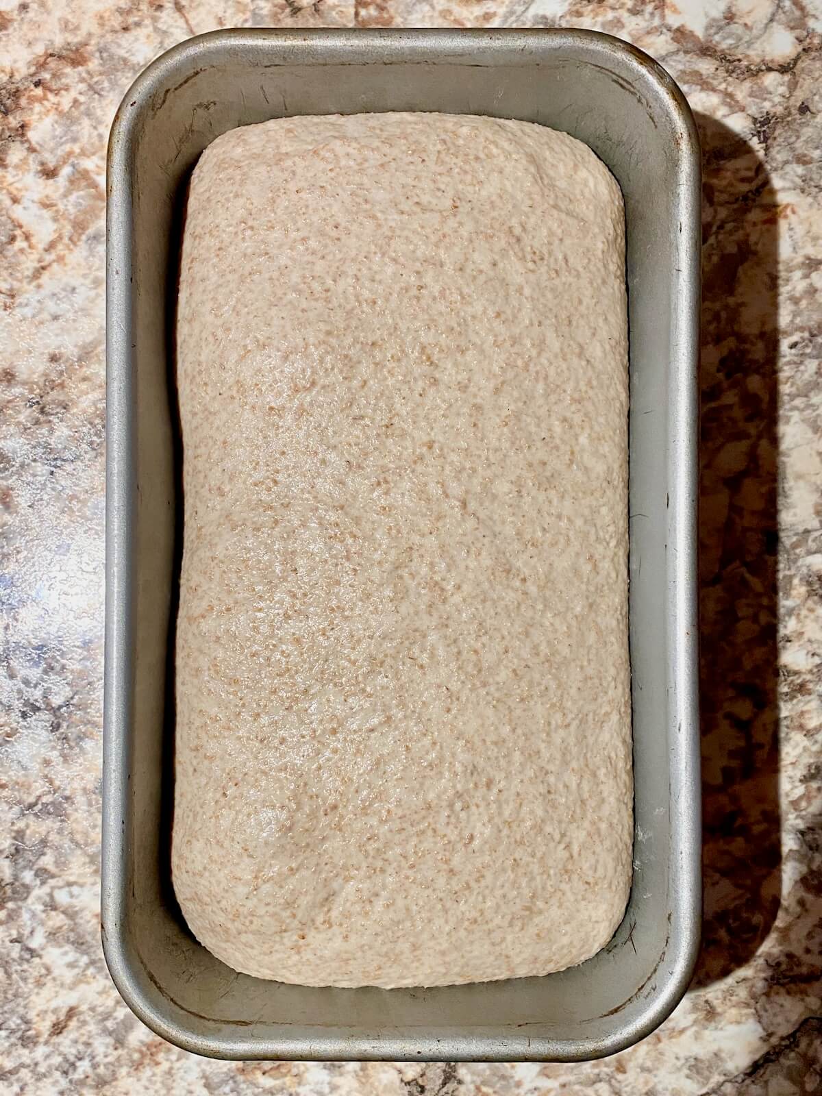 The proofed dough in an aluminum loaf pan.