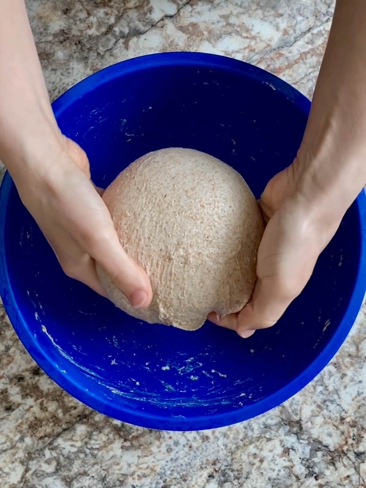 A pair of hands gathering the dough into a ball and placing in back into the mixing bowl.