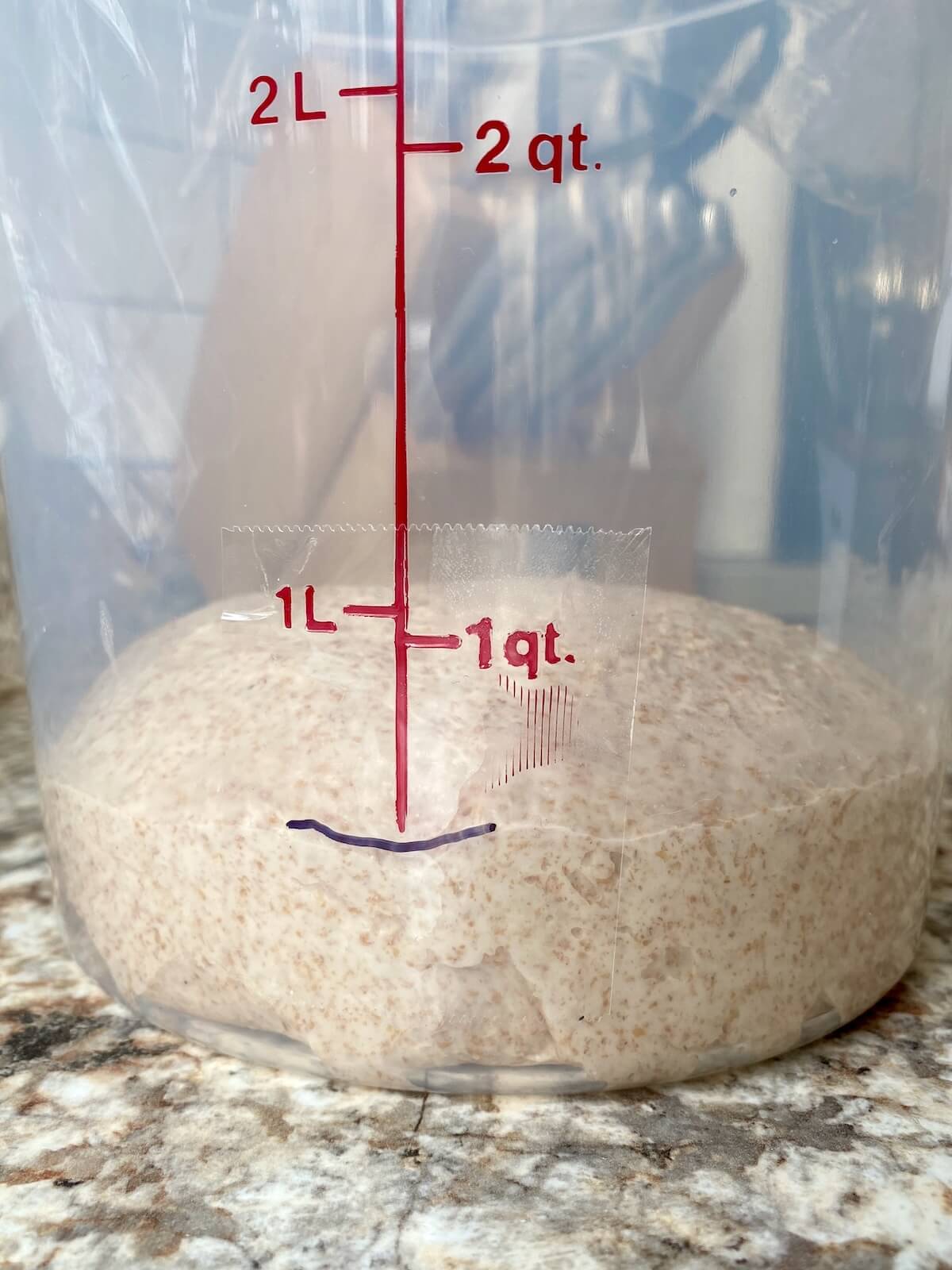 The dough in a straight-sided container with a mark to show where bulk fermentation has started.