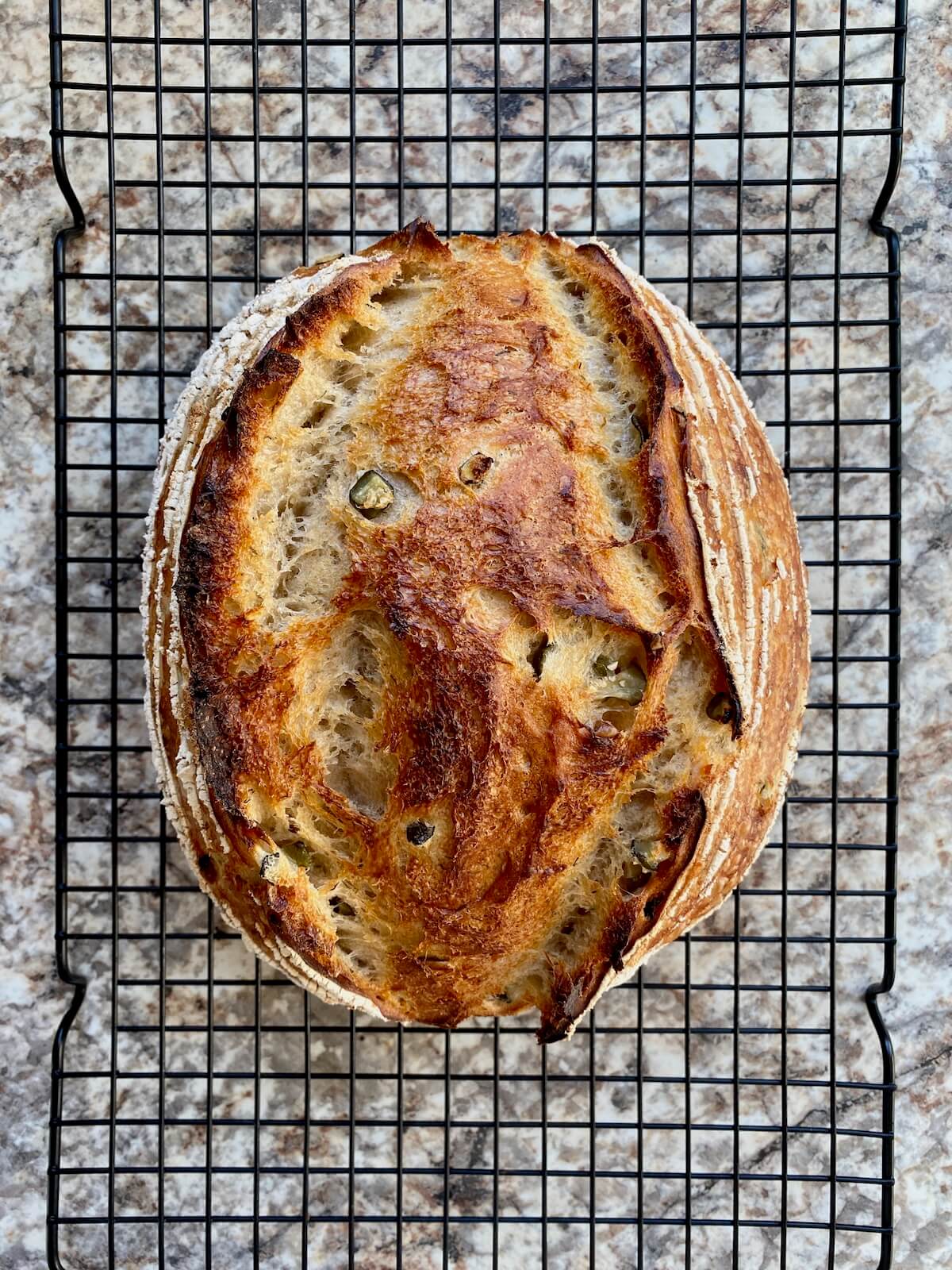 The baked sourdough bread on a wire cooling rack.