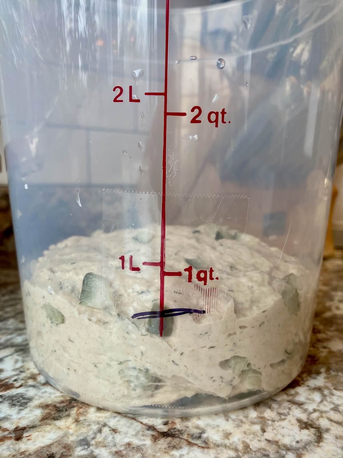 The dill pickle sourdough bread dough in a straight-sided container before bulk fermentation.