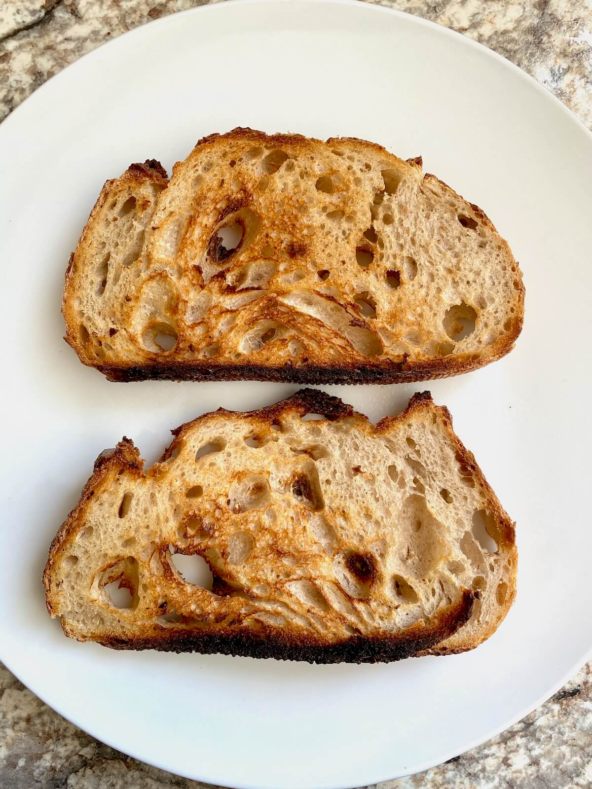 Two pieces of toasted sourdough bread.