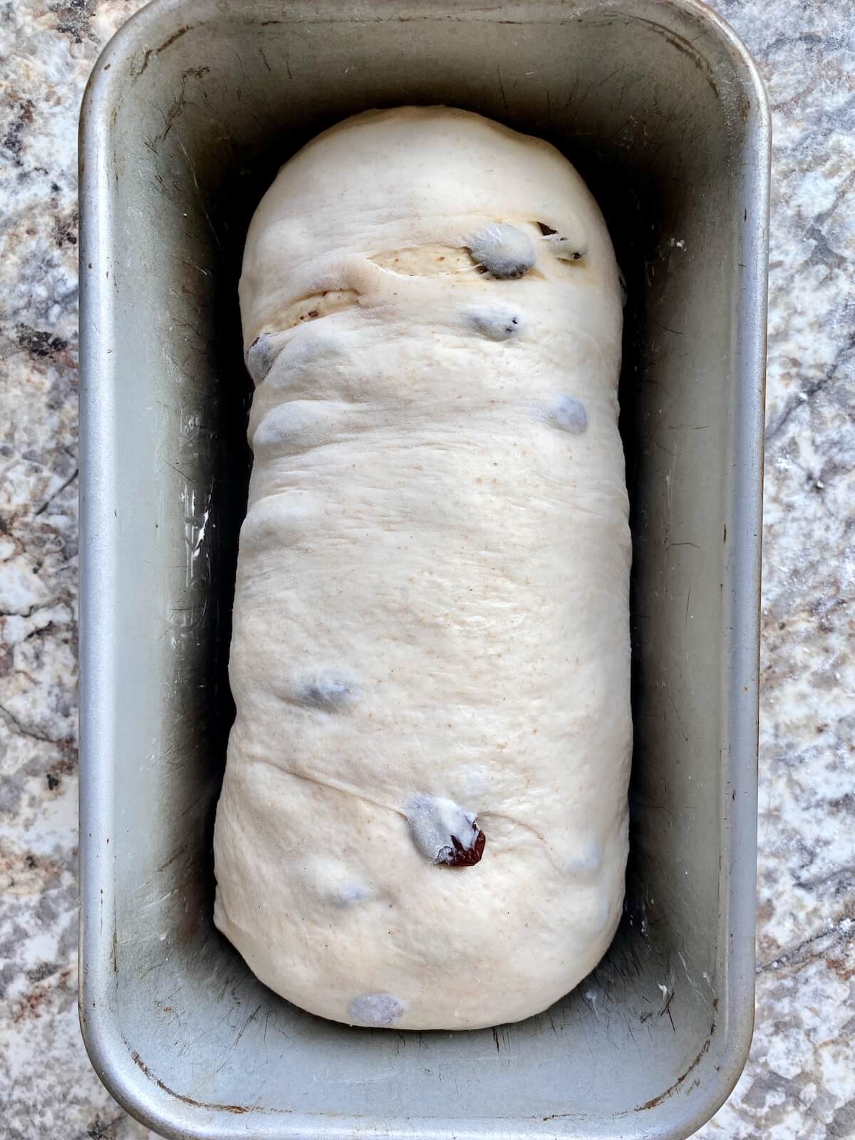 The dough in a loaf pan before proofing.