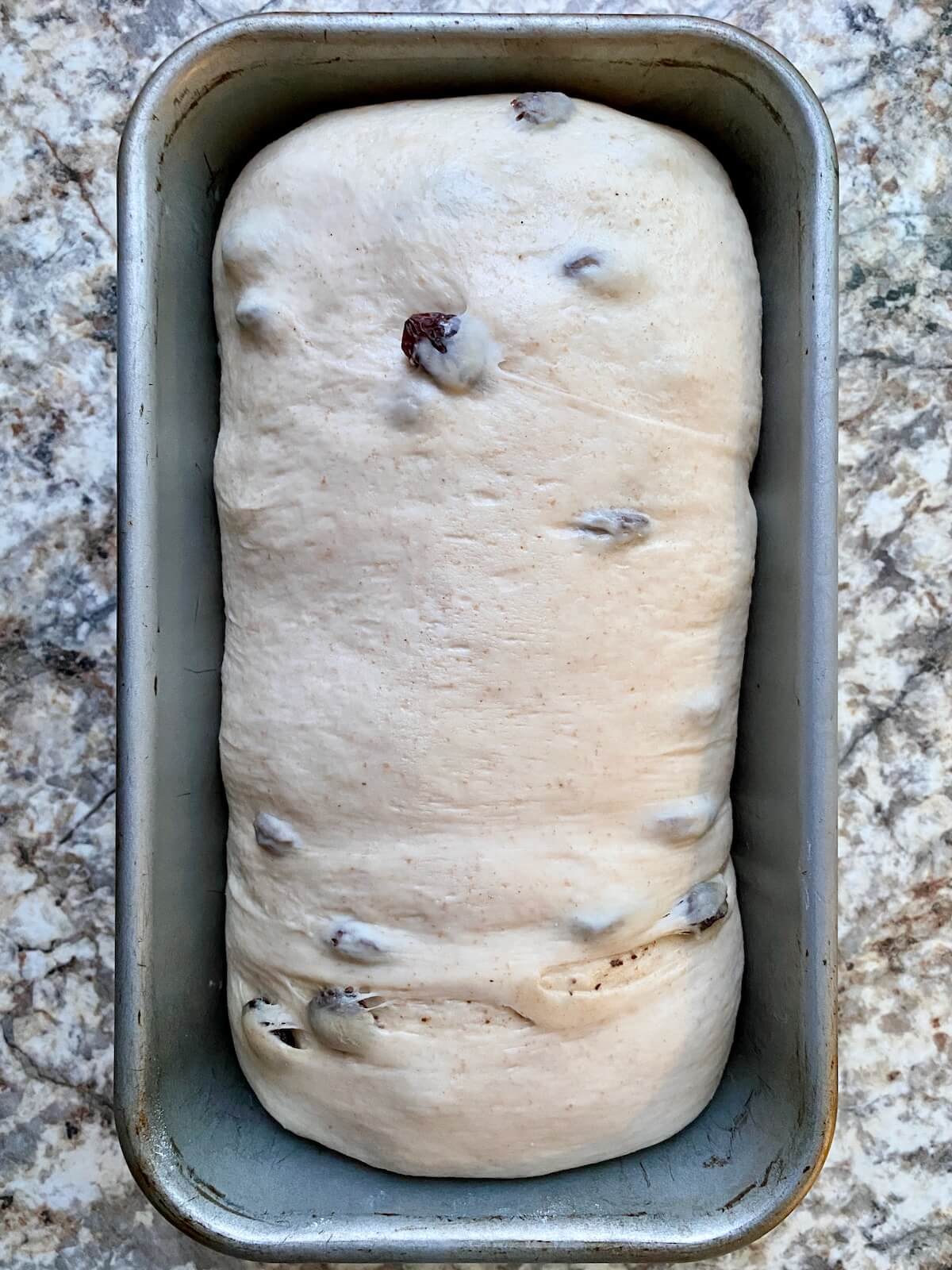 The dough in a loaf pan after proofing.