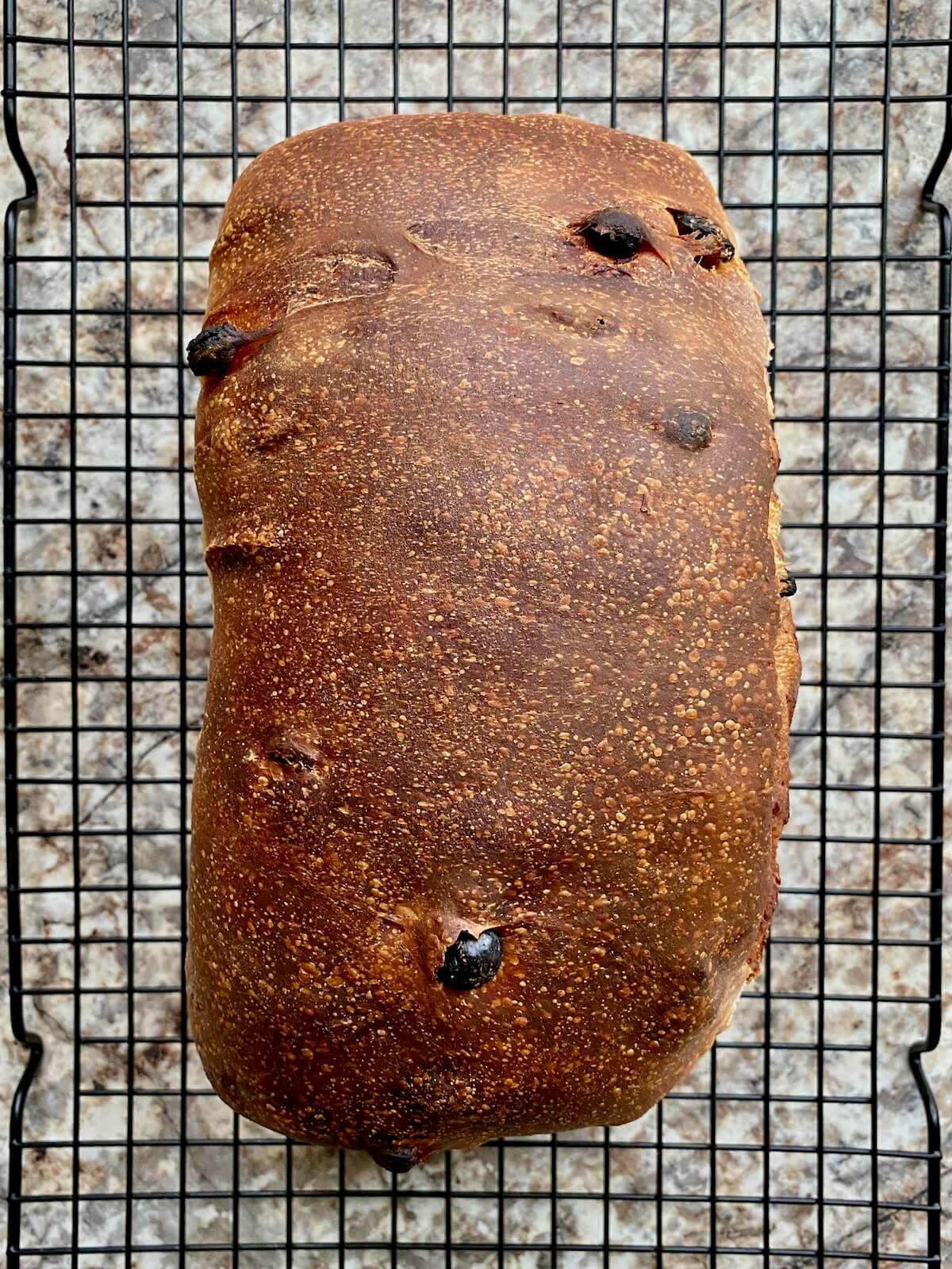 The baked sourdough cinnamon raisin bread cooling on a wire cooling rack.